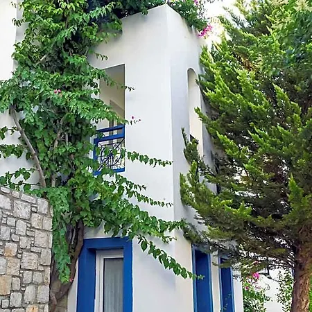 مارفي داتْشا